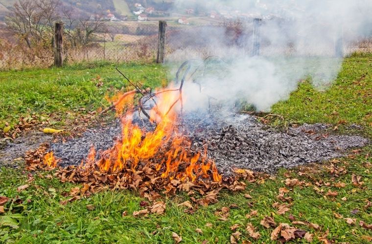 Kurunun Yanında Yaş Da Yanar atasözünün anlamı.