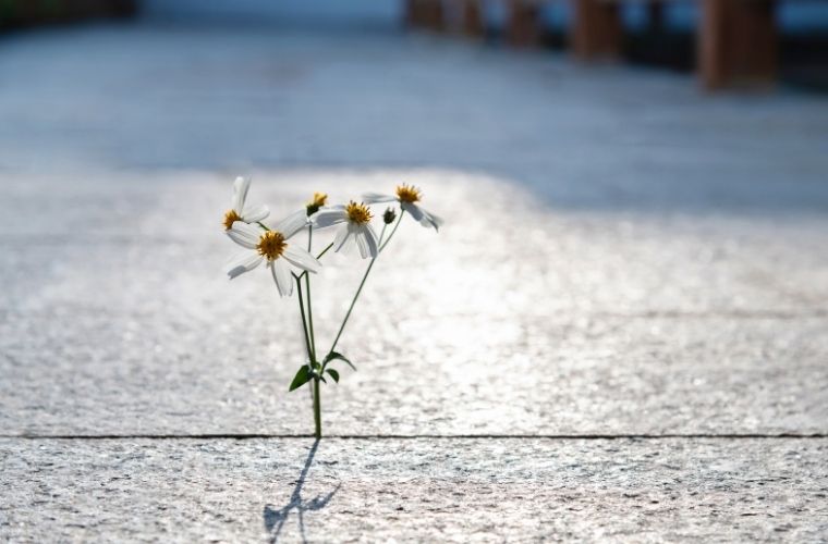 Müminin refleksi. Tekbir bizim kazanılmış zaferimizdir. Zor zamanlarda müninin refleksi.