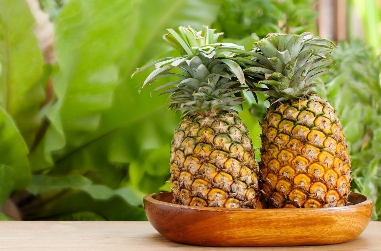 Rüyada ananas görmek nasıl yorumlanır. Rüyada mevsiminde ananas görmek. Rüyada ananas konservesi yediğini görmek ne anlama gelir.