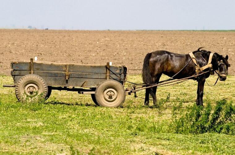 Rüyada at arabası görmek. Rüyada at arabası sürmek. Rüyada at arabası ile yolculuk yapmak. Rüyada at arabası kullanmak. Rüyada at arabası süren birini görmek.