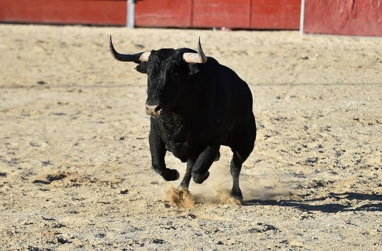 Rüyada azgınlık. Rüyada azgın olmak. Rüyada azgın erkek görmek. Rüyada azgın boğa görmek. Rüyada azgın kadın görmek.