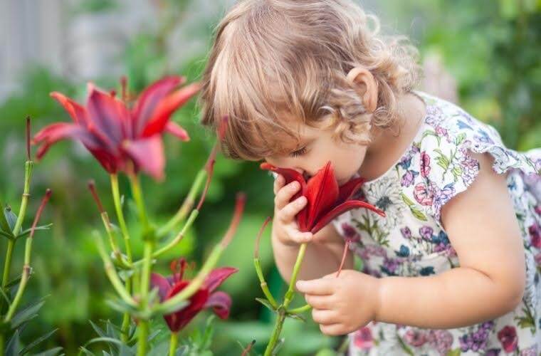 Rüyada çiçek koklamak. Rüyada çiçek kokusu almak.