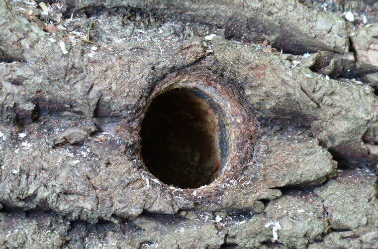 Rüyada delik duvar görmek. Rüyada delik ayakkabı görmek. Rüyada delik tabirleri.