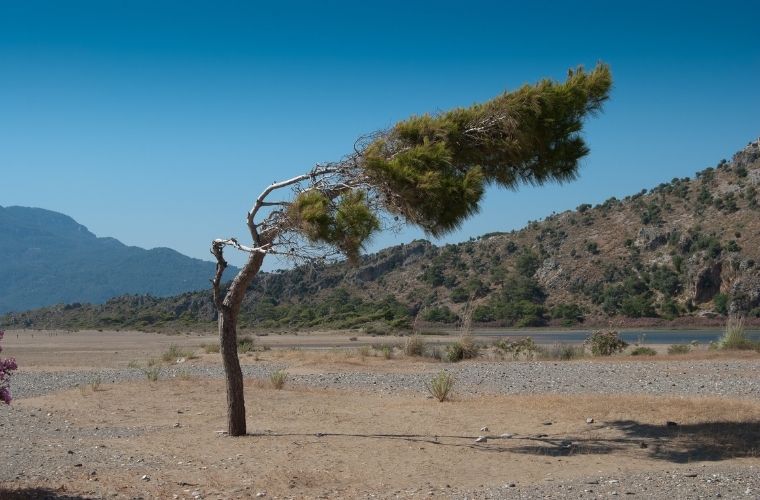 Rüyada eğmek, rüyada demir eğmek, rüyada boyun eğmek. Rüyada birşey eğdiğini görmek.