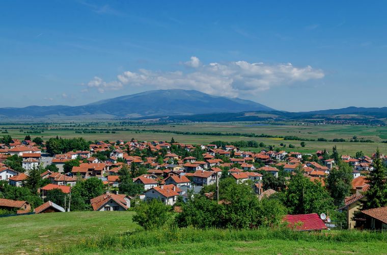 Rüyada köy yolunda yürümek, rüyada köy meydanında vakit geçirmek, rüyada köydeki hayvanları beslemek ve rüyada köyde bir tarlada çalışmak.