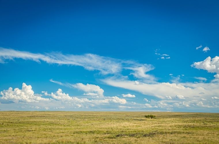 Rüyada geniş bir ova görmek, rüyada ovada huzurlu bir yürüyüş yapmak, rüyada ova manzarasında dinlenmek ve rüyada ova içindeki doğayı keşfetmek.