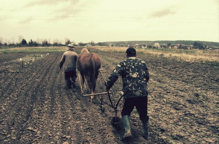 Rüyada pulluk görmek, pullukla tarla sürmek, yeni pulluk almak, eski pulluk kullanmak vb. rüya tabirleri.