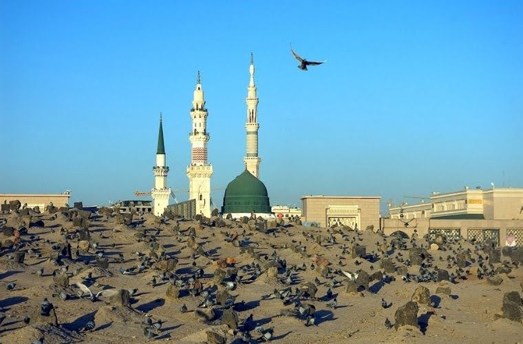 Rüyada sahabe görmek. Rüyada sahabe ile konuşmak. Rüyada ashâb-ı kirâmdan birini görmek. Rüyada Peygamberimiz’in arkadaşlarını görmek.