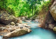 Rüyada Abdest Bozmak Ne Anlama Gelir? Rüyada abdest bozduğunu görmek. Rüyasında abdest bozduğunu görmek ne anlama gelir.
