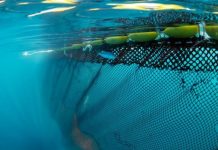 Rüyada Ağ Görmek Ne Anlama Gelir? Rüyada ağ görmek. Rüyada ağ görmenin manası ve tabiri.