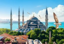 Rüyada Arefe Gününü Görmek Ne Anlama Gelir? Rüyada arefe gününü görmek nasıl yorumlanır. Rüyada arefe gününde bulunduğunu görmek. Rüyada arefe günü tabirleri.