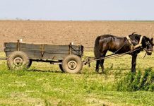 Rüyada At Arabası Görmek Ne Anlama Gelir? Rüyada at arabası görmek. Rüyada at arabası sürmek. Rüyada at arabası ile yolculuk yapmak. Rüyada at arabası kullanmak. Rüyada at arabası süren birini görmek.