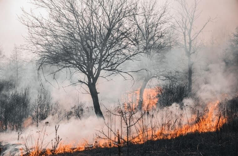 Rüyada ateş dumanı görmek. Rüyada duman içinde kalmak. Rüyada beyaz ateş dumanı görmek. Rüyada ateşsiz duman görmek.