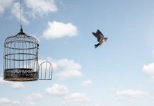 Rüyada Azat Etmek Ne Anlama Gelir? Rüyada azat etmek. Rüyada azat edilmek. Rüyada azat olmak. Rüyada köpek azat etmek. Rüyada kuş azat etmek.