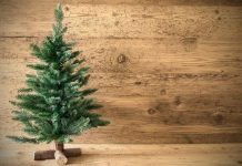 Rüyada Çam Ağacı Görmek Ne Anlama Gelir? Rüyada çam ağacı görmek. Rüyada çam ağacı dikmek. Rüyada çam ağacı kesmek. Rüyada çam ağacı tabirleri.