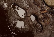 Rüyada Çamur Görmek Ne Anlama Gelir? Rüyada çamur görmek. Rüyada çamur bataklıktan kurtulmak. Rüyada çamur yağdığını görmek. Rüyada çamurlu yol görmek.