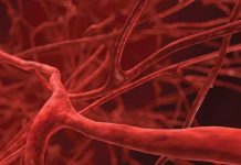 Rüyada Damar Görmek Ne Anlama Gelir? Rüyada damar görmek. Rüyada damar yolu açmak. Rüyada damar patlaması. Rüyada damar tıkanıklığı görmek.