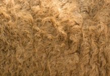 Rüyada Deve Yünü Görmek Ne Anlama Gelir? Rüyada deve yünü görmek. Rüyada deve yünü almak ya da satmak. Rüyada deve yünü yastık yorgan görmek. Rüyada deve yünü tabirleri.