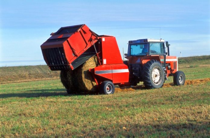 Rüyada ekin biçmek, rüyada tarlada ekin biçmek, rüyada altın sarısı ekin biçmek, rüyada olgunlaşmış ekin biçmek. Rüyada ekin biçmek.