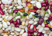 Rüyada Fasulye Görmek Ne Anlama Gelir? Rüyada fasulye görmek, rüyada yeşil fasulye görmek, rüyada kuru fasulye görmek. Rüyada fasulye tabirleri.