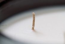Rüyada Fitil Görmek Ne Anlama Gelir? Rüyada fitil görmek, rüyada mum fitili görmek, rüyada fitil yakmak, rüyada fitil kopması, rüyada fitil satın almak. Rüyada fitil tabirleri.