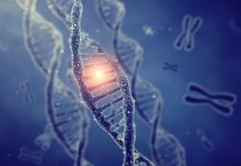 Rüyada Gen/Genetik Ne Anlama Gelir? Rüyada genetik hastalık görmek, rüyada DNA ve gen görmek, rüyada genetik bilimle ilgilenmek, rüyada genetik mühendisliği görmek. Rüyada gen ve genetik ile ilgili rüya tabirleri.
