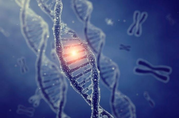 Rüyada genetik hastalık görmek, rüyada DNA ve gen görmek, rüyada genetik bilimle ilgilenmek, rüyada genetik mühendisliği görmek. Rüyada gen ve genetik ile ilgili rüya tabirleri.