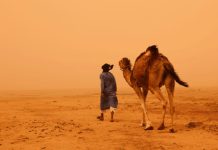 Rüyada Göçebe Görmek Ne Anlama Gelir? Rüyada göçebe görmek, rüyada göçebe hayatı yaşamak, rüyada göçebe çadırı görmek. Rüyada göçebe tabirleri.