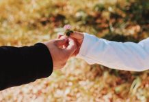 Rüyada Görgülü/Görgüsüz Görmek Ne Anlama Gelir? Rüyada görgülü görmek, rüyada görgülü olmanın anlamı ve tabirleri. Rüyada nazik, kibar birini görmek.