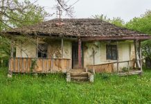 Rüyada Harabe Görmek Ne Anlama Gelir? Rüyada harabe görmek, rüyada harabe bir evde olmak, rüyada harabe bir yapı ile karşılaşmak, rüyada harabe bir köy görmek. Rüyada harabe tabirleri.