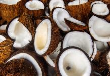 Rüyada Hindistan Cevizi Görmek Ne Anlama Gelir? Rüyada Hindistan cevizi suyu içmek, rüyada Hindistan cevizi toplamak, rüyada Hindistan ceviziyle tatlı yapmak. Rüyada Hindistan cevizi tabirleri.