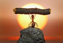 Rüyada İbret Almak Ne Anlama Gelir? Rüyada bir olaydan ders çıkarmak, rüyada ibret verici bir şey görmek, rüyada birinden ibret almak. Rüyada ibret almak tabirleri.