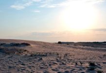 Rüyada Issız Yer Görmek Ne Anlama Gelir? Rüyada terk edilmiş bir yerde olmak, rüyada ıssız bir ormanda yürümek, rüyada ıssız bir yere gitmek. Rüyada ıssız yer tabirleri.