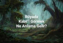 Rüyada Kabil’i Görmek Ne Anlama Gelir? Rüyada Kabil’i görmek, rüyada Kabil’in kıskançlıkla dolu olduğunu görmek, rüyada Kabil’in Habil’e öfkelendiğini hissetmek, rüyada Kabil’in hikayesini düşünmek. Rüyada Kabil tabirleri.
