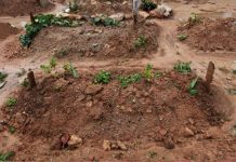 Rüyada Kabir Azabı Görmek Ne Anlama Gelir? Rüyada kabir azabı görmek, rüyada kabirde acı çektiğini hissetmek, rüyada kabir azabından kurtulmak için dua etmek, rüyada bir başkasının kabir azabı çektiğini görmek. Rüyada kabir azabı tabirleri.