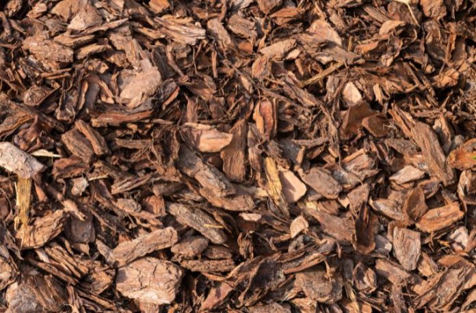 Rüyada meyve kabuğunu soymak, rüyada yara kabuğu görmek. Rüyada kabuk tabirleri.