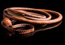 Rüyada Kamçı Görmek Ne Anlama Gelir? Rüyada kamçı ile bir yere vurmak, rüyada kamçı sesinden irkilmek, rüyada kamçı taşıyan birini görmek. Rüyada kamçı tabirleri.