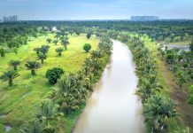 Rüyada Kanal Görmek Ne Anlama Gelir? Rüyada suyun aktığı bir kanal görmek, rüyada kanalda suyun akışını izlemek, rüyada bir kanalda yürümek. Rüyada kanal tabirleri.
