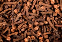 Rüyada Karanfil Görmek Ne Anlama Gelir? Rüyada karanfil çiçeğini eline almak, rüyada karanfil kokusunu duymak, rüyada kırmızı veya beyaz karanfil görmek. Rüyada karanfil tabirleri.