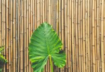 Rüyada Kargı Görmek Ne Anlama Gelir? Rüyada kargı kullanarak avlanmak, rüyada uzun bir kargı taşımak, rüyada kargıyı yere saplamak. Rüyada kargı tabirleri.