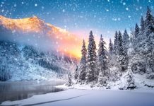 Rüyada Kış Görmek Ne Anlama Gelir? Rüyada kışın kar yağışı izlemek, rüyada buzlu yollarda yürümek, rüyada kışlık giysiler giymek ve rüyada kışın soğuk hava hissetmek.