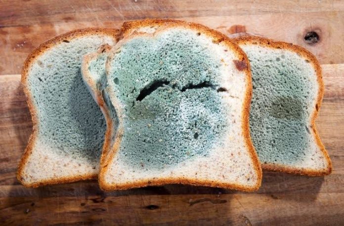 Rüyada küflü ekmek görmek, rüyada küflü eşyaları atmak, rüyada küf kokusunu fark etmek ve rüyada küflü bir ortamda bulunmak.