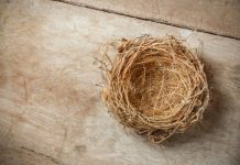 Rüyada Kuş Yuvası Görmek Ne Anlama Gelir? Rüyada kuş yuvası görmek, rüyada kuş yuvasındaki yumurtaları fark etmek, rüyada yuvadan çıkan yavru kuşları izlemek, rüyada kuş yuvasını korumak ve rüyada kuş yuvasının düşmesine engel olmak.