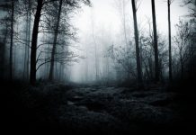 Rüyada Loşluk Görmek Ne Anlama Gelir? Rüyada loşluk görmek, rüyada loş bir ışık kaynağını izlemek, rüyada loş ortamda düşüncelere dalmak, rüyada loş bir odada sessizce oturmak ve rüyada loşluğun sakinleştirici etkisini hissetmek.