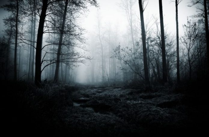 Rüyada loşluk görmek, rüyada loş bir ışık kaynağını izlemek, rüyada loş ortamda düşüncelere dalmak, rüyada loş bir odada sessizce oturmak ve rüyada loşluğun sakinleştirici etkisini hissetmek.