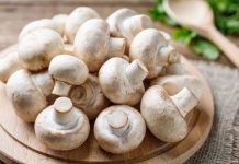 Rüyada Mantar Görmek Ne Anlama Gelir? Rüyada ormanda mantar toplamak, rüyada taze mantar yemek, rüyada mantarın büyüdüğünü görmek ve rüyada mantarların etrafında dolaşmak.