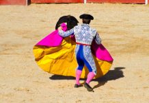 Rüyada Matador Görmek Ne Anlama Gelir? Rüyada matadorun boğa ile dövüşünü izlemek, rüyada matadorun cesaretini görmek, rüyada matadorun bir zafer kazanmasını izlemek ve rüyada matadorun dövüş esnasında gösterdiği ustalığı fark etmek.