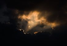 Rüyada Musibet Görmek Ne Anlama Gelir? Rüyada musibete uğrayarak zorluklarla karşılaşmak, rüyada musibeti aşmaya çalışmak, rüyada musibet nedeniyle değişen bir durumu görmek ve rüyada musibetten ders almak.