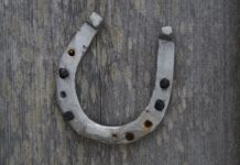 Rüyada Nal Görmek Ne Anlama Gelir? Rüyada nal takarken bir hayvan görmek, rüyada nalın sağlam olduğunu görmek, rüyada nalın bir işlevi yerine getirdiğini görmek ve rüyada nalı tamir etmek.