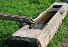 Rüyada Oluk Görmek Ne Anlama Gelir? Rüyada olukta suyun akışını görmek, rüyada olukla su taşımak, rüyada oluklu bir yapıda olmak ve rüyada olukla yapılan bir işin düzenli olduğunu görmek.